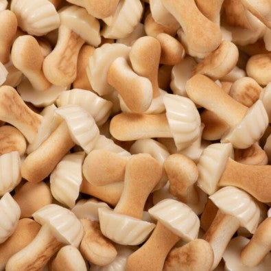 Champignon Biscuit Chocolat Blanc (lot de 10)