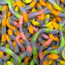 Serpent Bicolore Halal - 100g