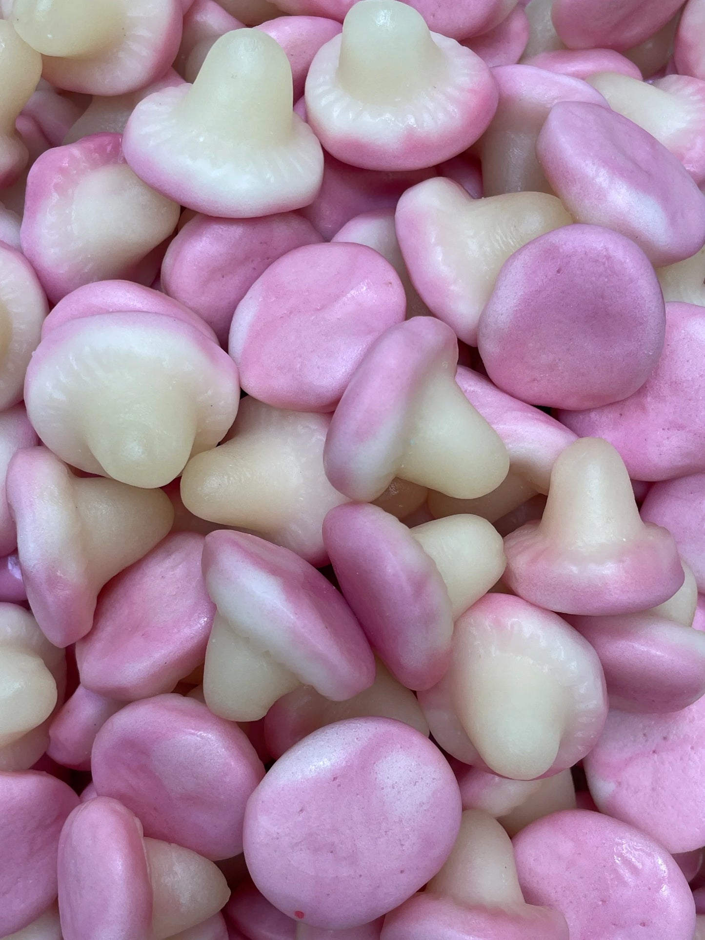Champignon Lisse Halal - 100g