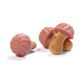 Champignon Biscuit Fraise (lot de 10)