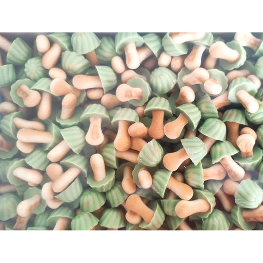 Champignon Biscuit Pistache (lot de 10)