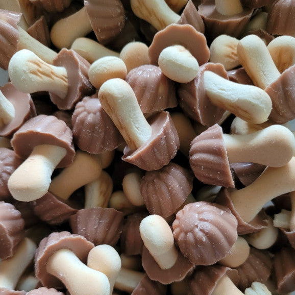 Champignon Biscuit Chocolat Caramel (lot de 10)