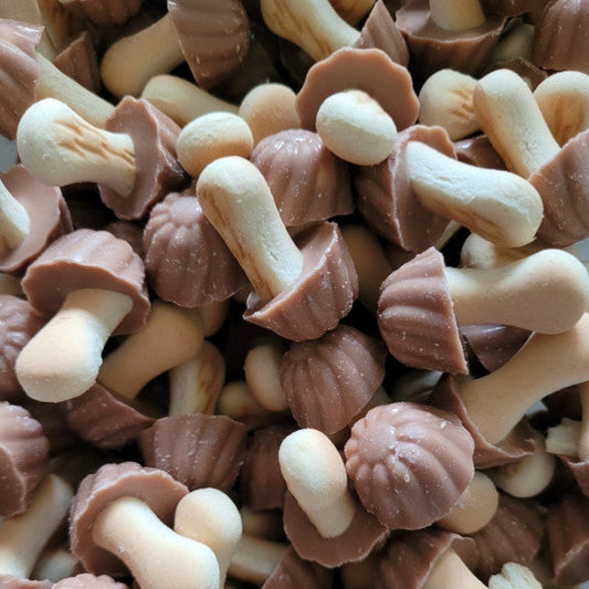 Champignon Biscuit Chocolat Caramel (lot de 10)