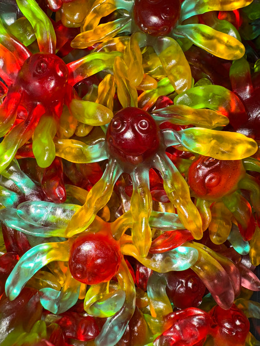 Octopus Lisse - 100g