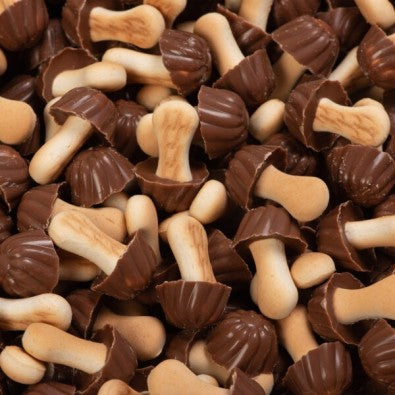 Champignon Biscuit Chocolat (lot de 10)